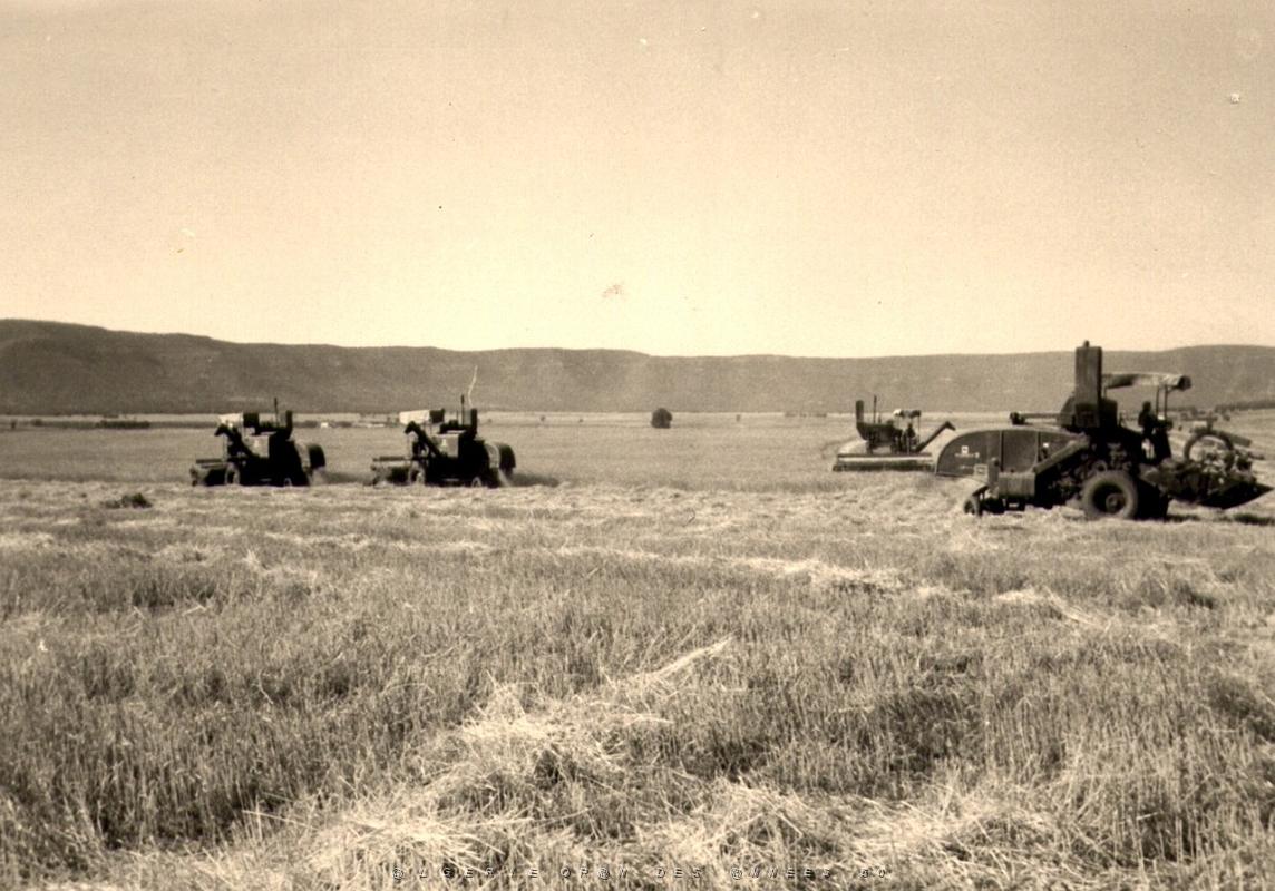 protection des moissons 2.jpg